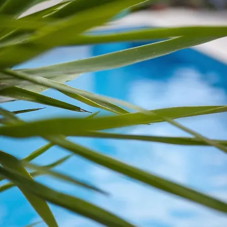 ヴィラ Heritage - Ultimate Croatian Retreat With Stunning Views And Pool ポドゥゴラ